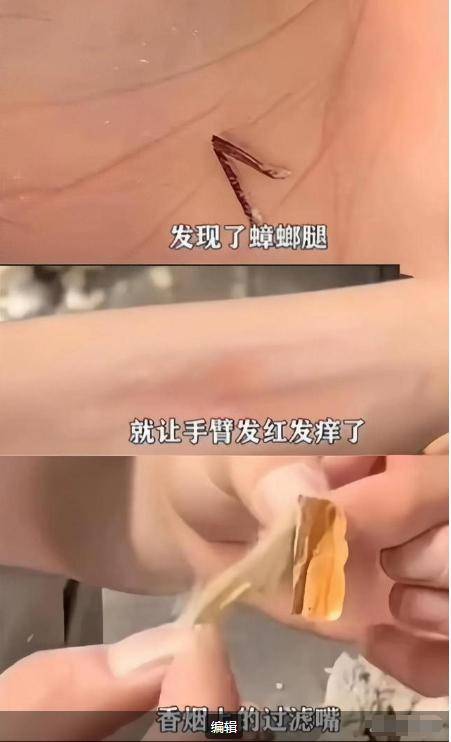 卫生巾创始人鞠躬致歉：不会做任何辩解EVO视讯卫生巾事件最新回应！ABC(图30)